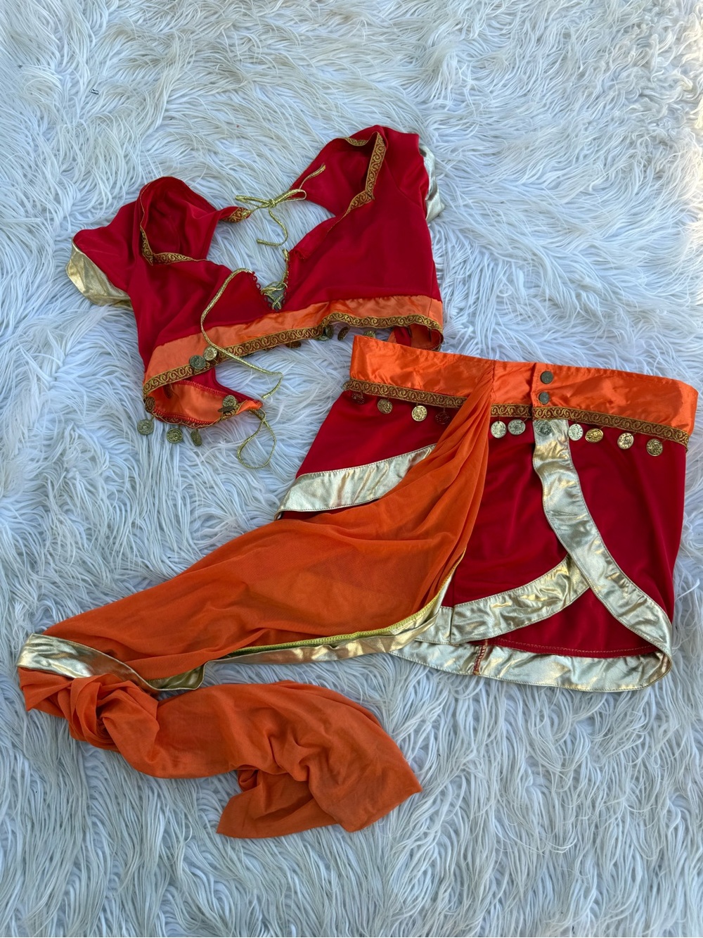 Women’s Bollywood costume ((E5)